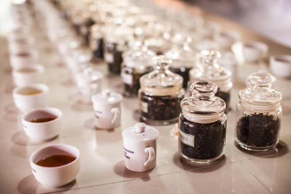 A Titester szakmája szerint egy személy segít élvezni a legjobb teákat