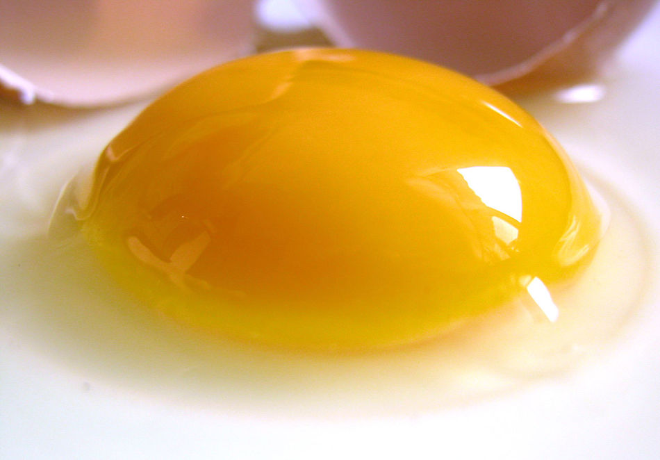 Яичный желток содержит множество питательных веществ