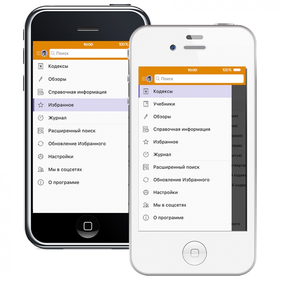 Consultant Plus - an ideal application for an iPhone for business people