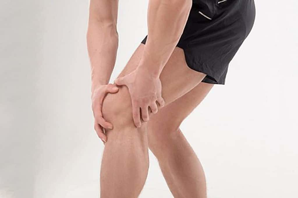 The action of the animal flex on the knee joints