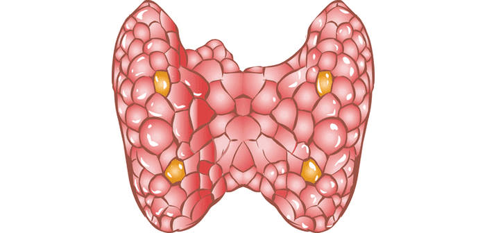 Penyakit tiroid