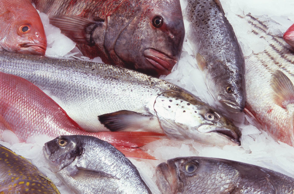 How to choose quality fish for complementary foods