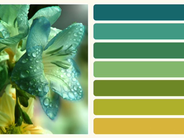 Оттенки зеленого цвета: палитра, названия цветов, фото