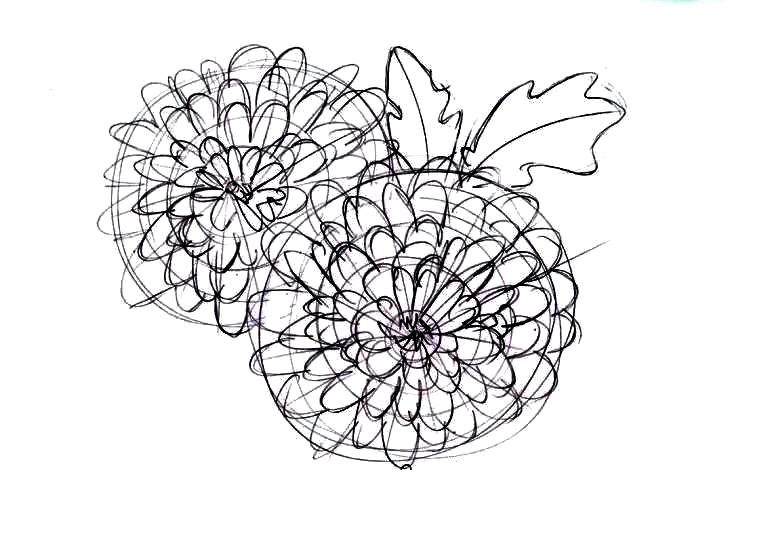 Как нарисовать букет хризантем: рисование лепестков соцветия