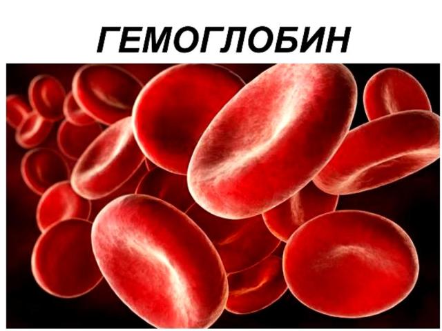 Норма гемоглобина в крови у женщин и мужчин после 50 лет. Повышение и понижение гемоглобина в крови, основные симптомы