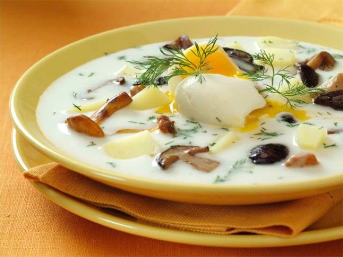 Soup with mushrooms and sour cream