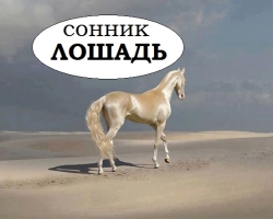 Interpretacija sanj - Konji: Kaj so sanje v sanjskem rdečem, črnem, belem, rjavem, sivem, točskem konju? Zakaj sanjati podobo, silhueto, senco konja z grivo, rogovi, krili: interpretacija spanja za moške in ženske