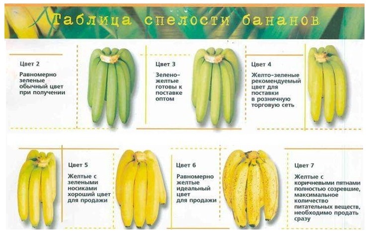 La table des sorts de bananes vous aidera à choisir le produit le plus utile pour un masque de bananes pour la peau sèche