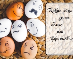 ¿Cuál es la diferencia entre los huevos de pollo blanco del marrón, que es mejor: ¿qué afecta la intensidad del color y el grosor de la cáscara, la yema, la proteína, el tamaño del huevo, la limpieza?