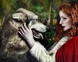 A fairy tale about “Red Red Riding Hood” for adults in a new way - a selection for holding fun holidays, corporate parties