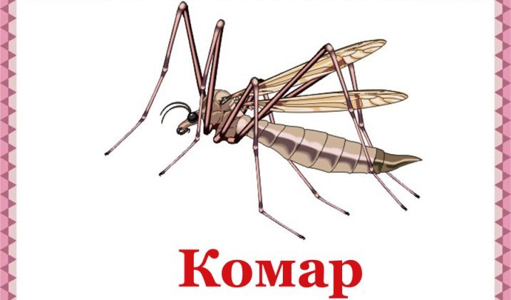 Правильно пишется «комар»