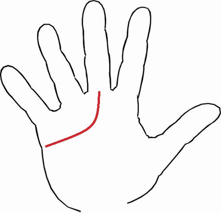 This is how the heart line is located