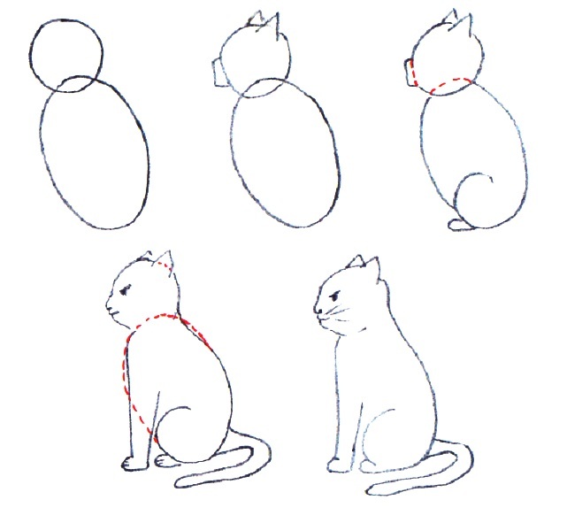 Как нарисовать сидящую кошку (профиль): пошаговая схема