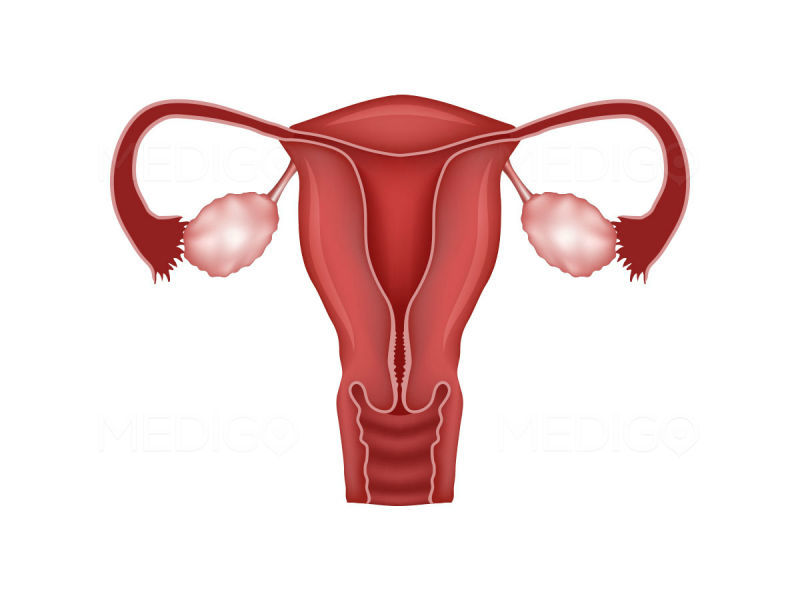 With hyperplasia, the thickness of the endometrium increases