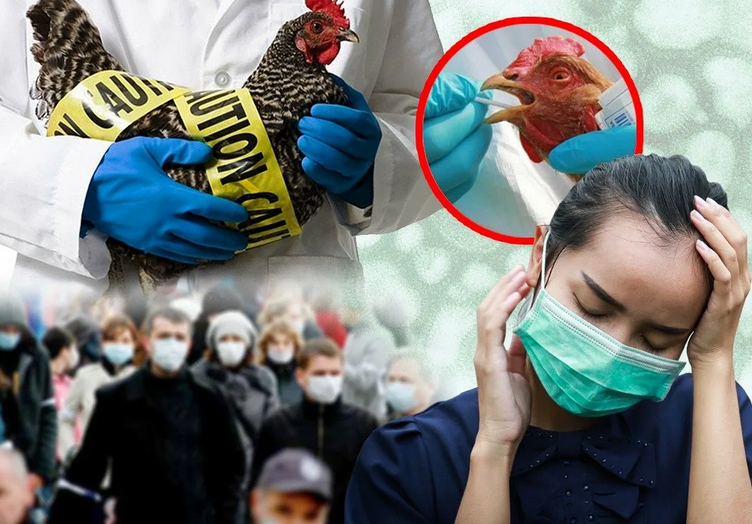 Orang muak dengan flu burung