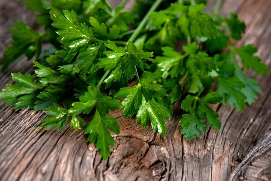 Parsley quickly rose