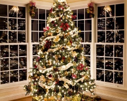 How beautifully to decorate the Christmas tree with your own hands at home, in kindergarten, school, at work in 2022-2023 in white, red, blue, gold, pink, purple, turquoise color, in two colors: ideas, tips, sequence, photo. What color is the Christmas tree in 2022-2023 Rabbits?