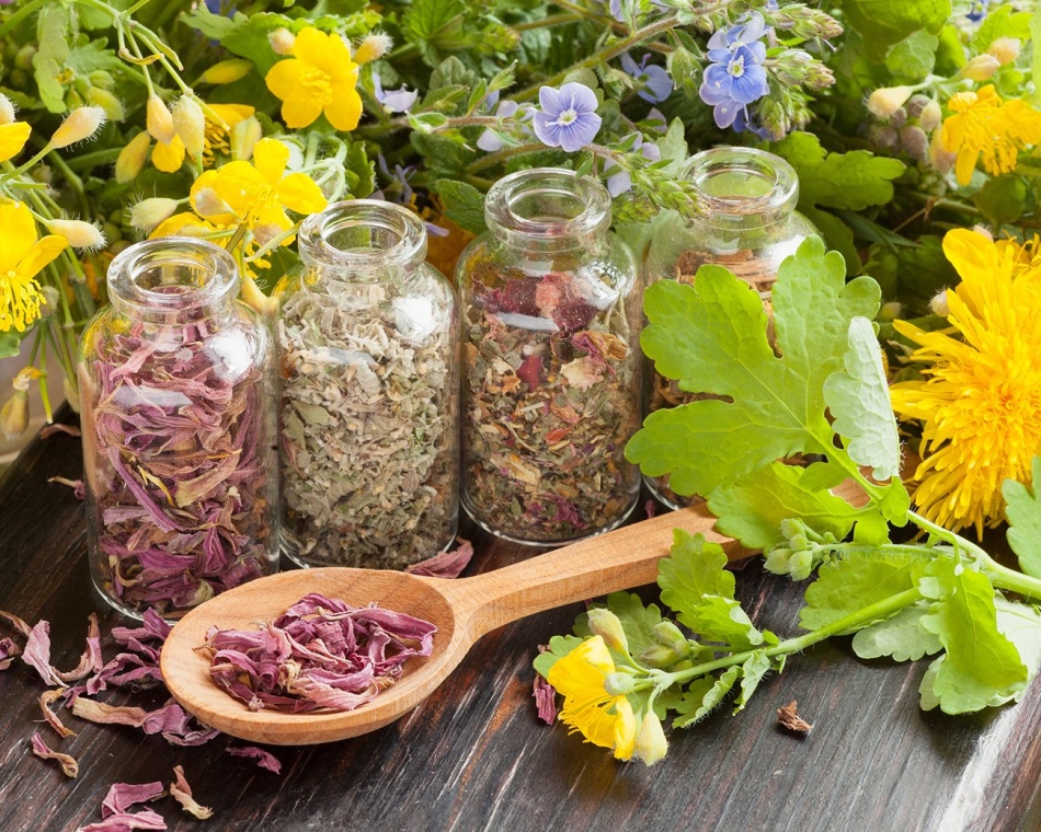 Tasas de pasto con coltsfoot