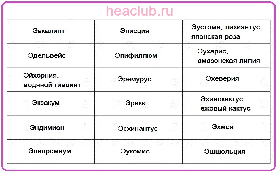 Имената на цветята на e масата