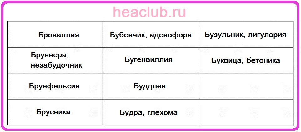 Названия цветов на "б" таблица