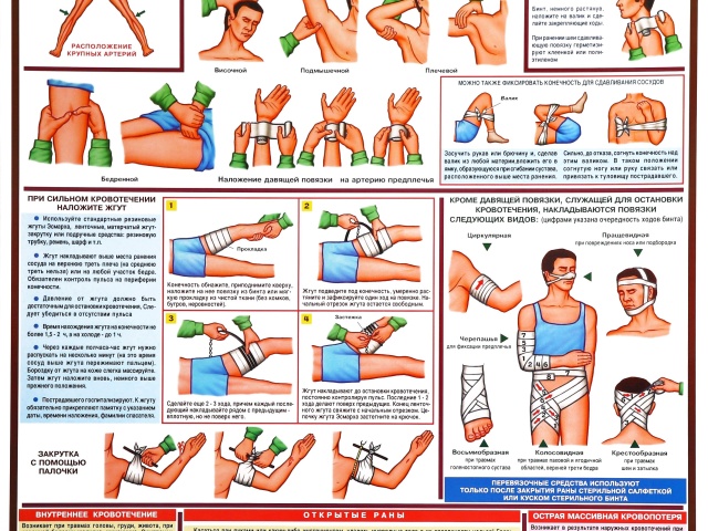 First aid for bleeding. First aid for various bleeding