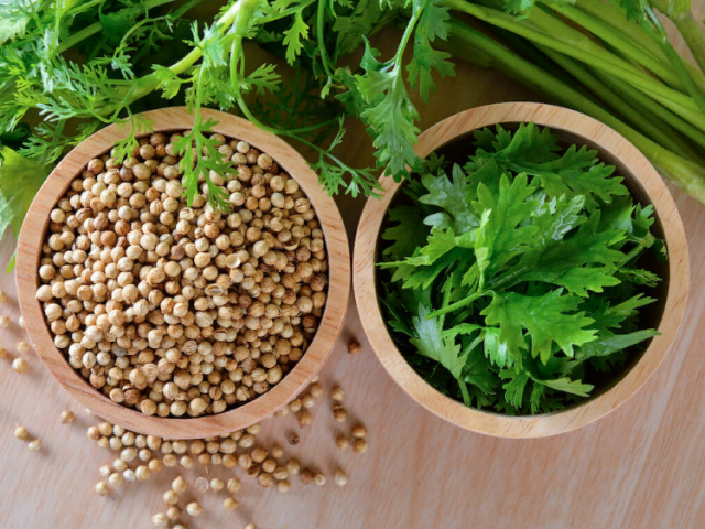 گشنیز و Cilantro یک و یکسان هستند یا نه: سود و آسیب ، چگونه و از کجا استفاده می شود؟ گشنیز است؟