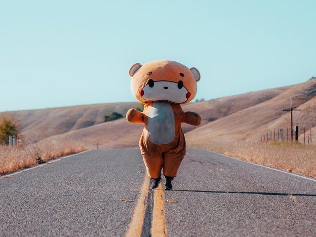 How to sew a brown bear carnival costume for a boy?
