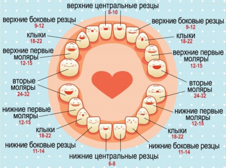 Количество