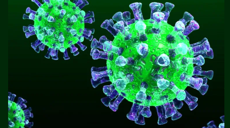 La température au virus du coronavirus chez un adulte et l'enfant