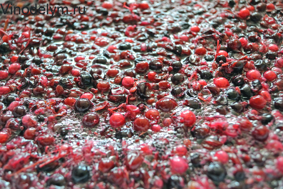 Red and black currant pulp