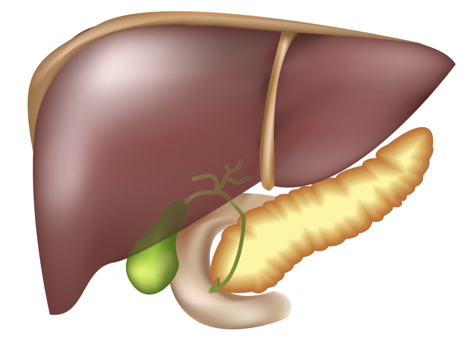 Si consiglia di sedersi con la dieta n. 5 coloro che hanno diagnosticato problemi con fegato, pancreas e cistifellea.