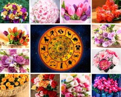 ما هي الزهور المناسبة لإعطاء علامات زودياك مختلفة؟