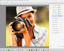 How to quickly retire photos using paint.net: how to process, options