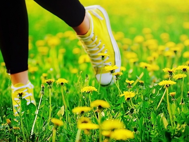 How and how to remove the spots from dandelion from clothes, jeans, jackets? How to remove traces of a dandelion of colored clothing?