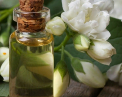 Jasmine oil: magical properties, how to apply?