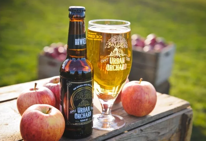 Cider differs from a beer drink with a composition and taste