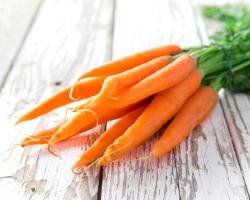 The best varieties of carrots for storage, sweet, for Siberia, resistant to carrot fly: names, description, photo, reviews