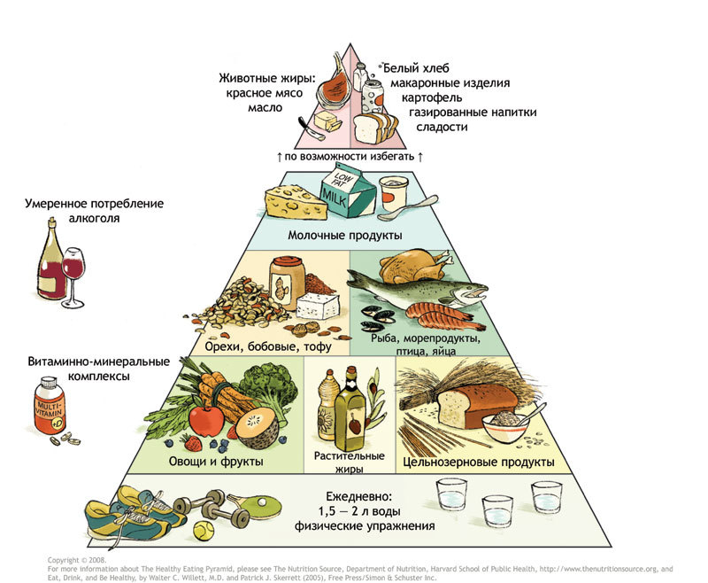 Пищевая пирамида для женщин, которые делают убрать живот после 30 лет