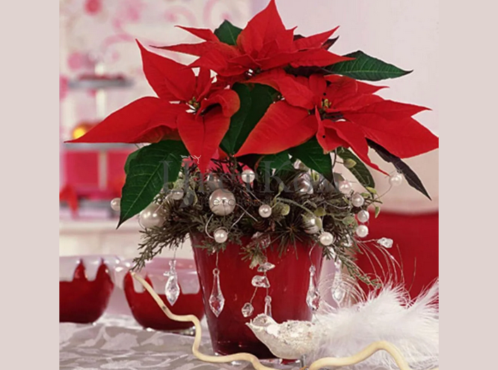 Flower accents in the decoration of the New Year's interior