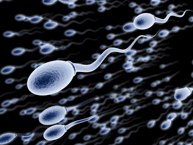 Male infertility: Piospermia. Is pregnancy possible? Treatment of piospermia