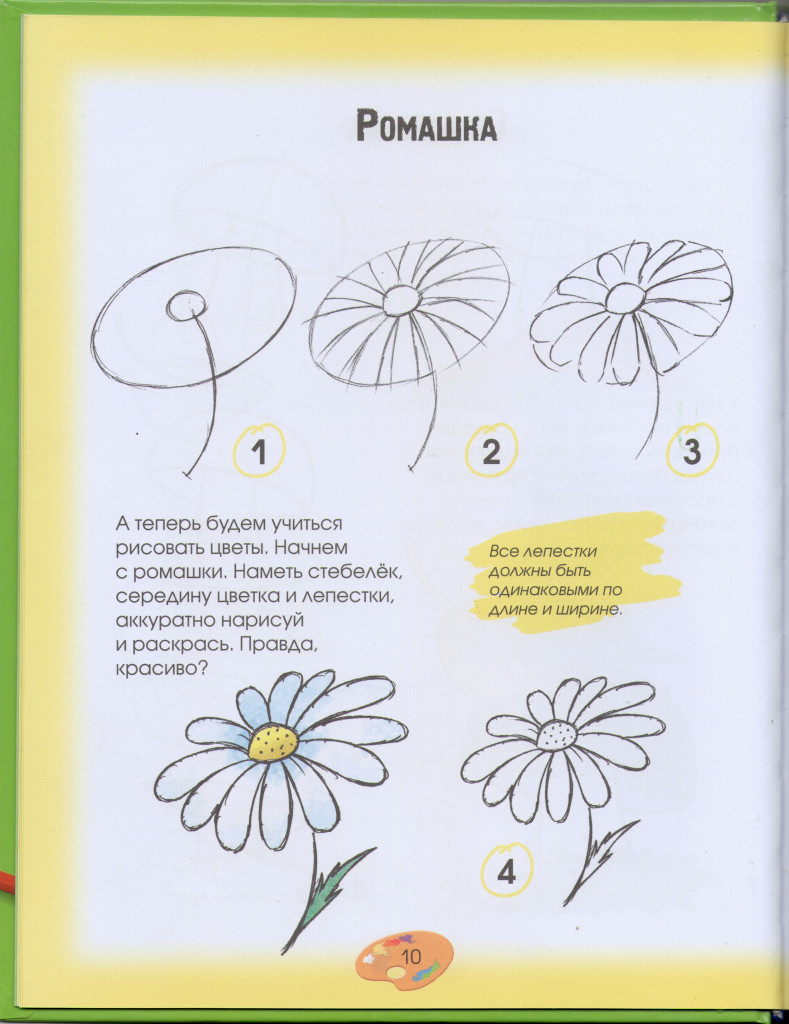 Цветы схема рисования