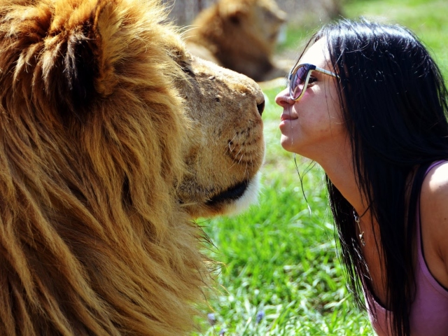 A kompatibilitás jelei: Szűz és férfi oroszlán nő