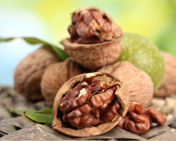 Greet walnut shells and partitions: beneficial and therapeutic properties, use, contraindications. Recipes and use of tinctures on vodka, alcohol, kerosene, tinctures of green walnut