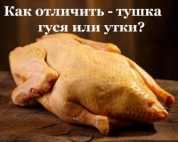 How to distinguish a carcass of a goose from a duck?