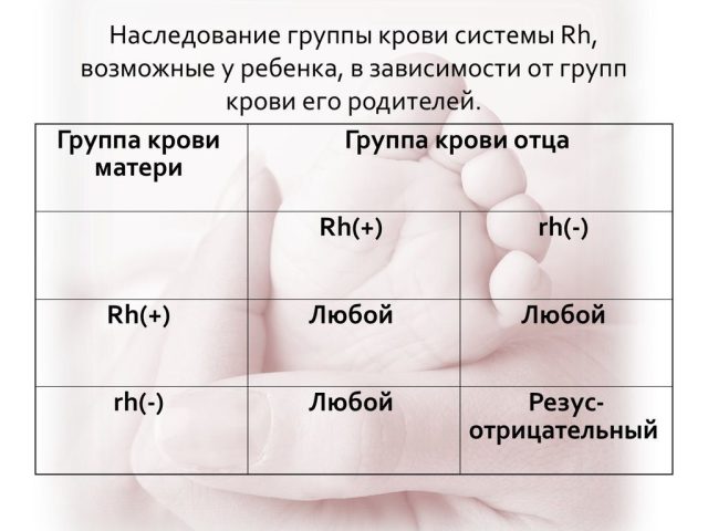 Совместимость групп крови для зачатия ребенка - таблица