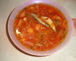Cabbage soup with Beijing, colored cabbage and canned fish in tomato sauce with fresh cabbage: the best recipes