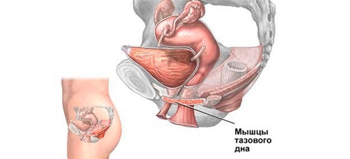 Incontinence de la calamine