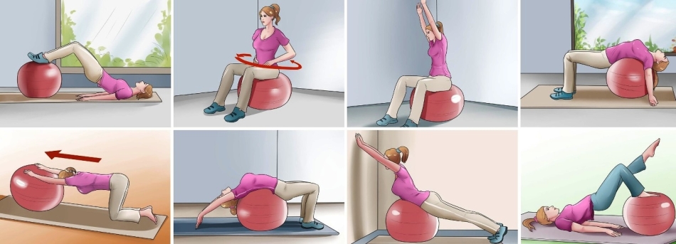 Complex of Fitball exercises for the back