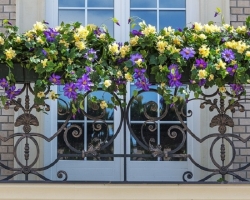 Kakšne nezahtevne cvetove za sajenje na balkonu na južni in severni strani? Kako organizirati cvetlični vrt iz večletnih in letnih rastlin na balkonu z lastnimi rokami, cveti vse poletje: nasveti, ideje, nega