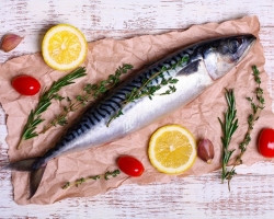 Apakah mungkin untuk makan Mackerel mentah - manfaat dan kemungkinan kerugian. Apa yang akan terjadi jika ada mackerel mentah?
